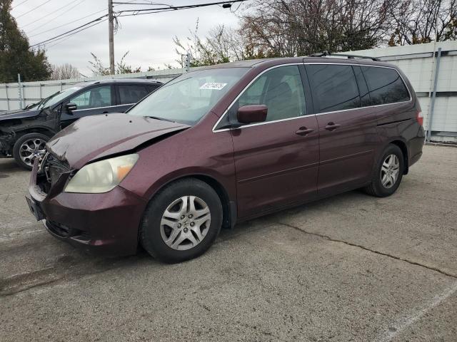 HONDA ODYSSEY EX 2007 with VIN 5FNRL38737B433521 - Photo from auction