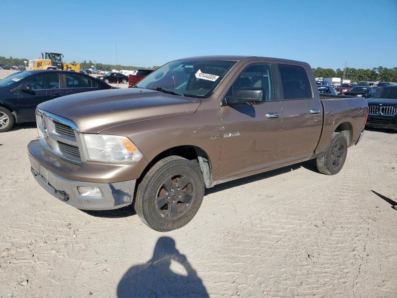 DODGE RAM 1500 2009 with VIN 1D3HB13T89S765569 - Photo from auction