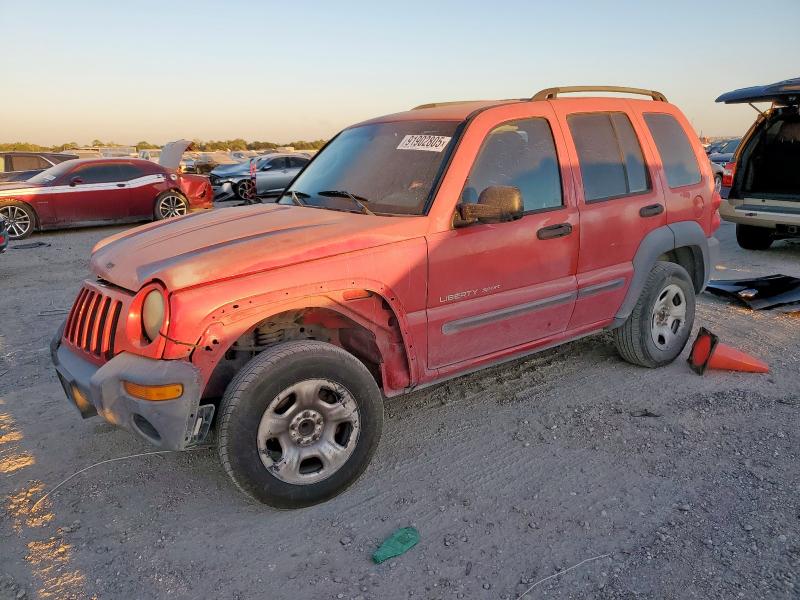 JEEP LIBERTY SP 2003 with VIN 1J4GK48K73W731543 - Photo from auction