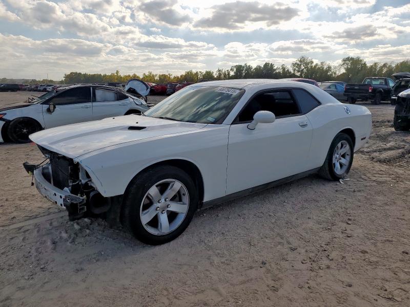 DODGE CHALLENGER 2013 with VIN 2C3CDYAG9DH540450 - Photo from auction