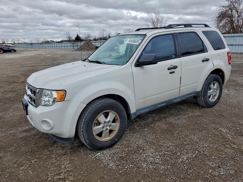 FORD ESCAPE XLT 2010 with VIN 1FMCU0D71AKC39017 - Photo from auction