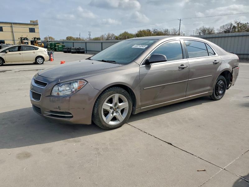 CHEVROLET MALIBU 1LT 2010 with VIN 1G1ZC5E08AF310652 - Photo from auction