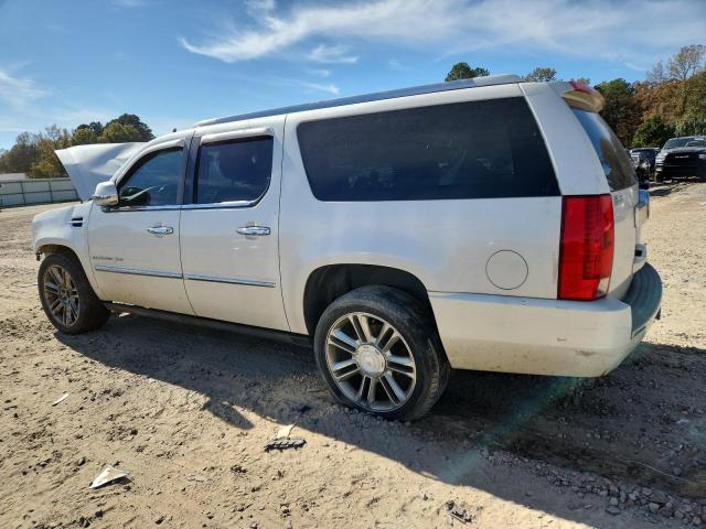 Photo 2 from auction – 2010 CADILLAC ESCALADE E with VIN 1GYUKJEFXAR249962
