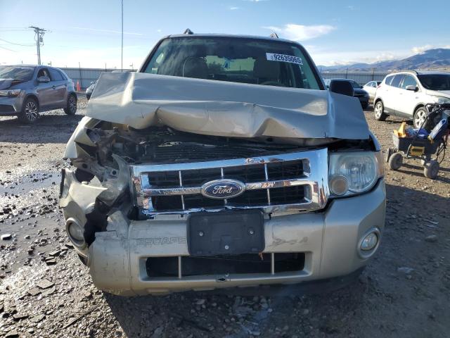 Photo 5 from auction – 2011 FORD ESCAPE XLT with VIN 1FMCU0DG9BKB58249
