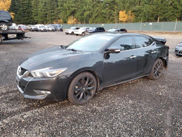 NISSAN MAXIMA 3.5 2017 with VIN 1N4AA6AP5HC448007 - Photo from auction