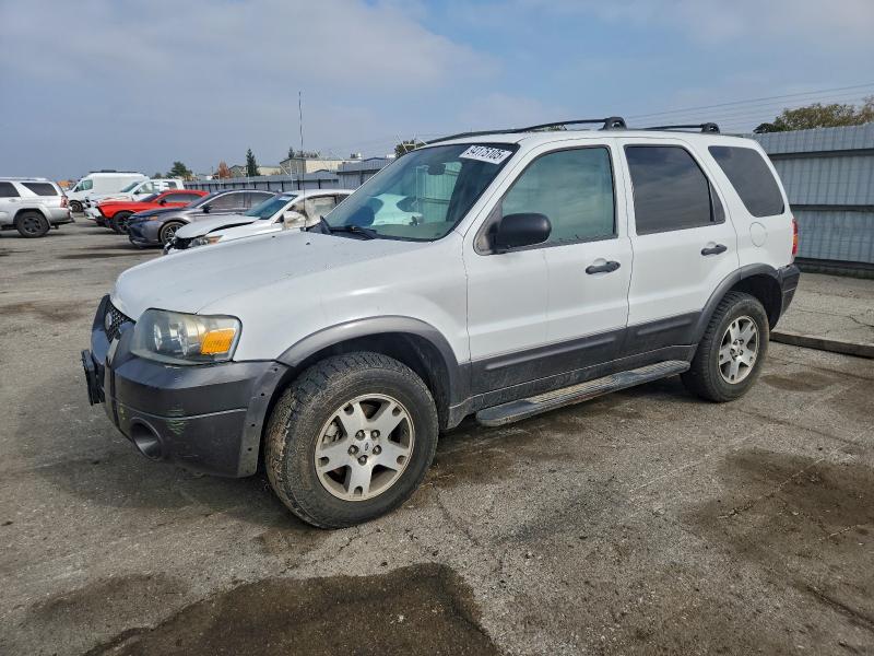 FORD ESCAPE XLT 2005 with VIN 1FMCU93195KB02043 - Photo from auction