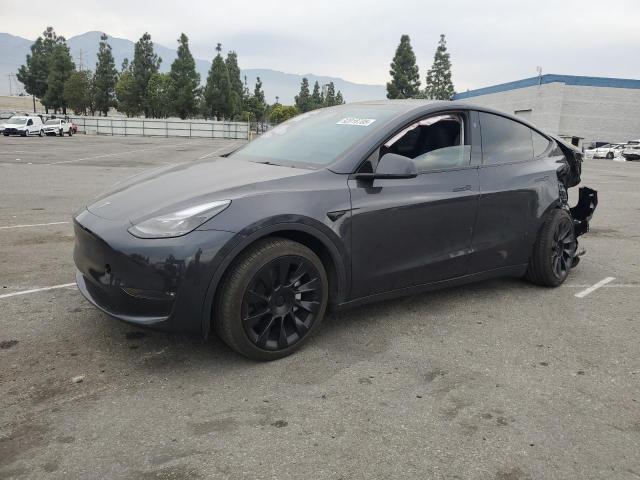 TESLA MODEL Y 2024 with VIN 7SAYGDEE2RF164068 - Photo from auction
