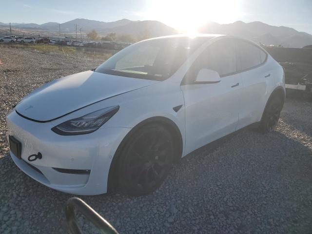 TESLA MODEL Y 2022 with VIN 7SAYGDEE1NF481303 - Photo from auction