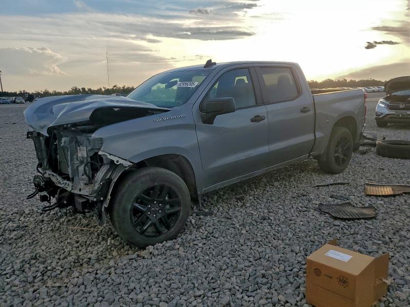 CHEVROLET SILVERADO 2023 with VIN 3GCPABEK9PG138255 - Photo from auction