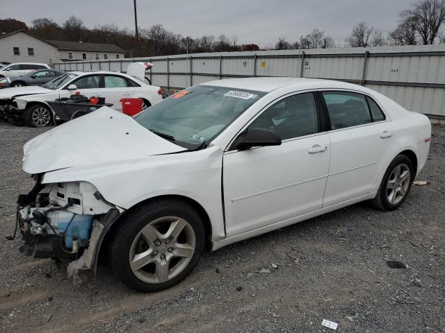 CHEVROLET MALIBU 2012 with VIN 1G1ZA5EU9CF393990 - Photo from auction
