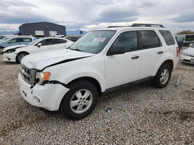 FORD ESCAPE XLS 2010 with VIN 1FMCU9C79AKB35767 - Photo from auction