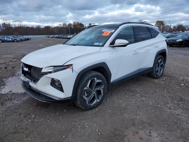 HYUNDAI TUCSON LIM 2023 with VIN 5NMJECAE7PH179357 - Photo from auction