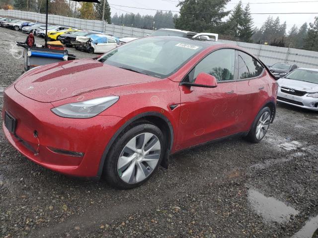 TESLA MODEL Y 2024 with VIN 7SAYGDEE4RF066711 - Photo from auction