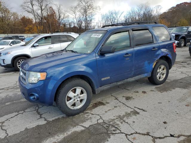 FORD ESCAPE XLT 2008 with VIN 1FMCU03Z88KC06769 - Photo from auction