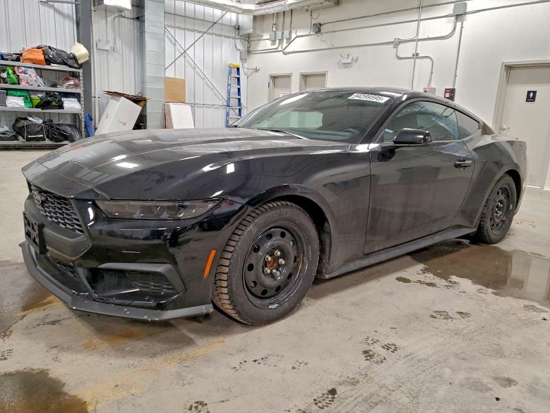 FORD MUSTANG 2024 with VIN 1FA6P8TH3R5146436 - Photo from auction