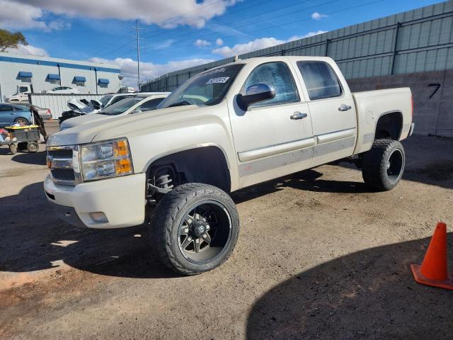 CHEVROLET SILVERADO 2009 with VIN 3GCEK33369G173215 - Photo from auction