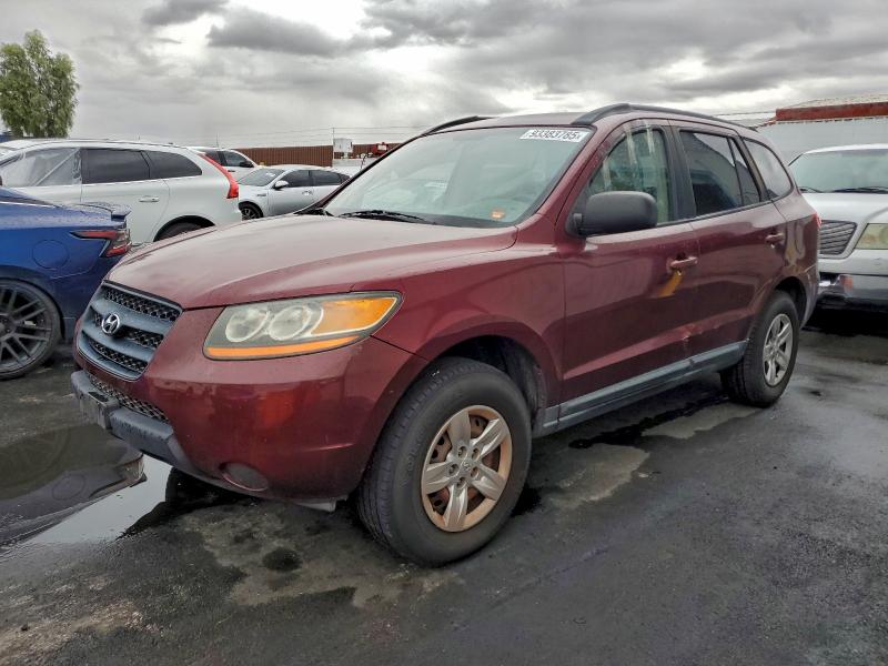 HYUNDAI SANTA FE 2009 with VIN 5NMSG13DX9H280595 - Photo from auction