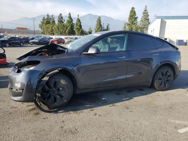TESLA MODEL Y 2024 with VIN 7SAYGDED9RF113822 - Photo from auction