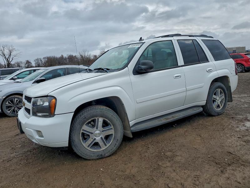 CHEVROLET TRAILBLAZE 2007 with VIN 1GNDT13S372253976 - Photo from auction