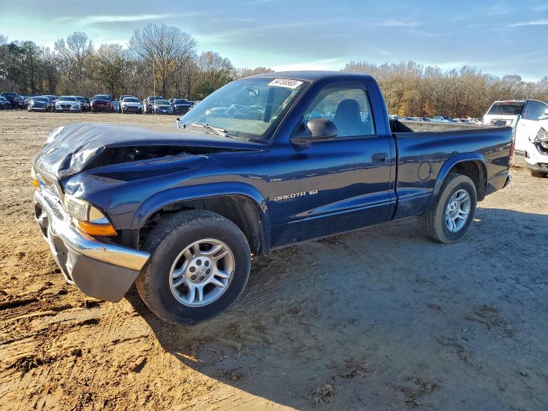 DODGE DAKOTA SLT 2002 with VIN 1B7FL46X52S621996 - Photo from auction