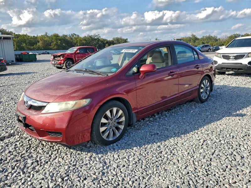HONDA CIVIC EX 2010 с VIN 19XFA1F86AE030459 - Фото с аукциона