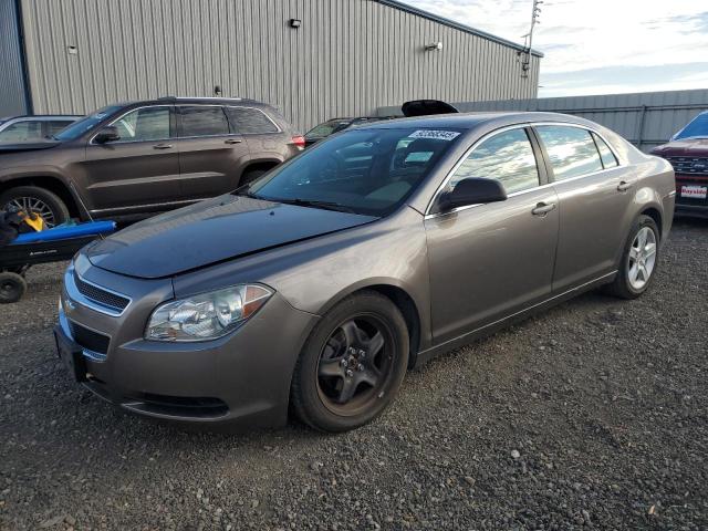 CHEVROLET MALIBU LS 2010 with VIN 1G1ZB5EB9AF196861 - Photo from auction