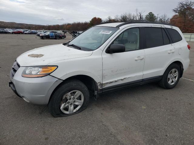 HYUNDAI SANTA FE GLS 2009 with VIN 5NMSG13D99H297954 - Photo from auction
