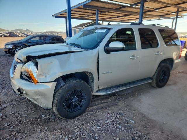 GMC YUKON SLT 2013 with VIN 1GKS2CE01DR125754 - Photo from auction