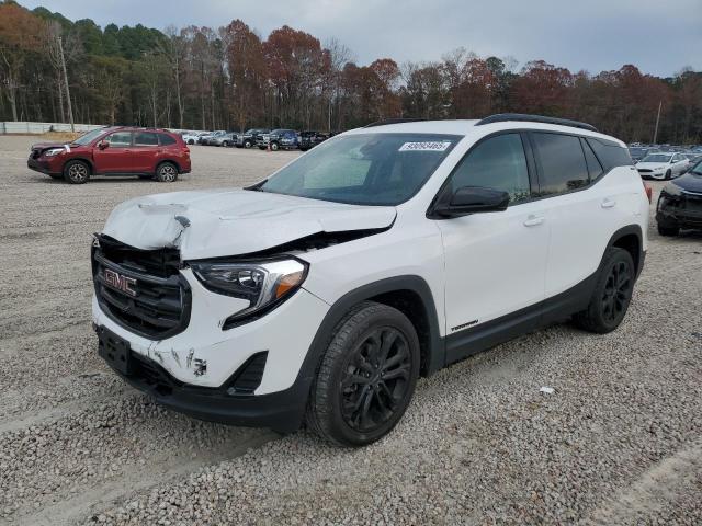 GMC TERRAIN SL 2020 with VIN 3GKALTEVXLL344612 - Photo from auction