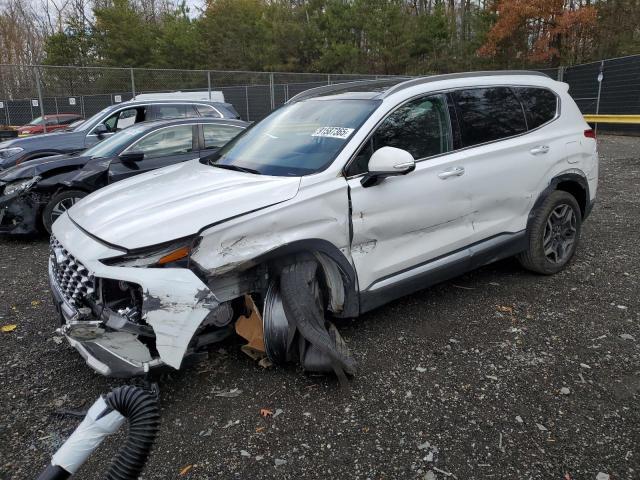 HYUNDAI SANTA FE L 2021 with VIN 5NMS4DAL4MH354591 - Photo from auction