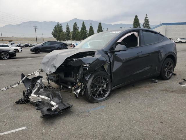 TESLA MODEL Y 2024 with VIN 7SAYGDED0RF186481 - Photo from auction