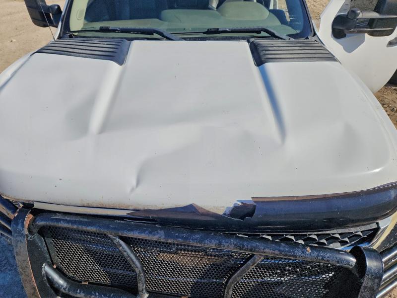 Photo 11 from auction – 2011 CHEVROLET SILVERADO with VIN 1GC1CVCG6BF241644