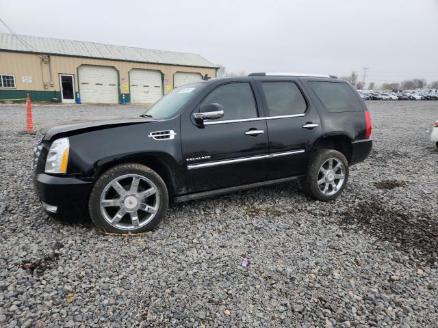 CADILLAC ESCALADE L 2014 with VIN 1GYS4BEF6ER239149 - Photo from auction