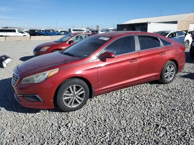 HYUNDAI SONATA 2016 with VIN 5NPE24AF7GH303185 - Photo from auction
