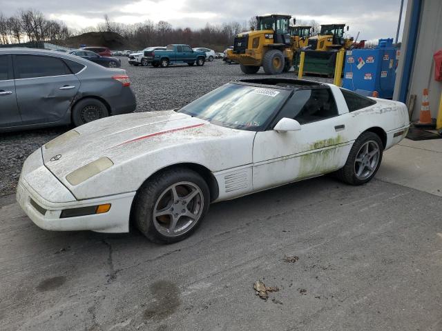 Photo 1 from auction – 1993 CHEVROLET CORVETTE with VIN 1G1YY23P1P5105877