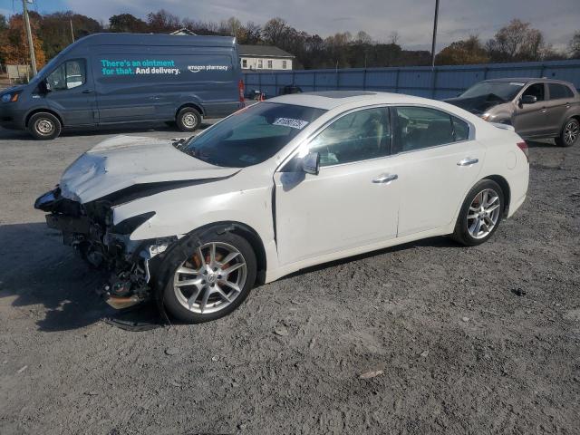 NISSAN MAXIMA S 2011 with VIN 1N4AA5AP8BC863940 - Photo from auction