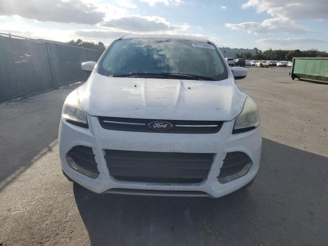 Photo 5 from auction – 2014 FORD ESCAPE SE with VIN 1FMCU9G93EUC65100