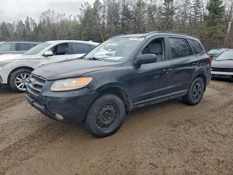 HYUNDAI SANTA FE 2008 with VIN 5NMSG13E58H190228 - Photo from auction