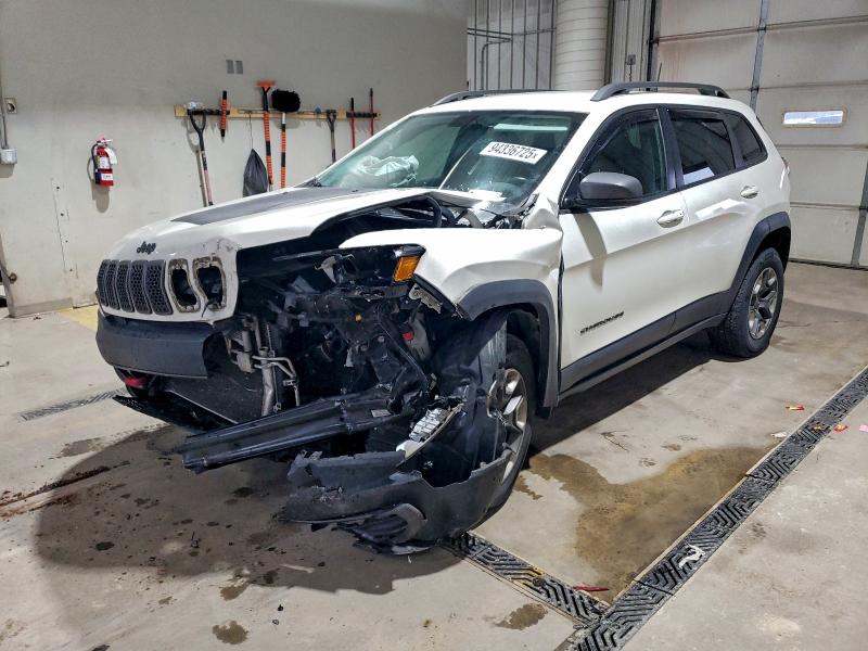 JEEP CHEROKEE T 2019 with VIN 1C4PJMBX0KD137142 - Photo from auction