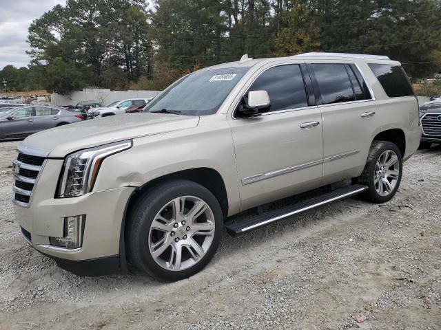 CADILLAC ESCALADE P 2016 with VIN 1GYS4CKJ6GR436906 - Photo from auction