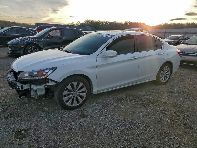 HONDA ACCORD EXL 2014 with VIN 1HGCR2F8XEA208207 - Photo from auction