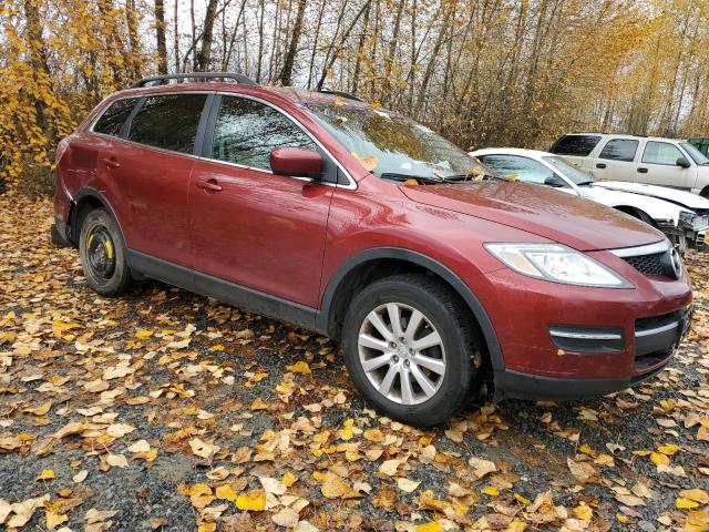 Photo 4 from auction – 2009 MAZDA CX-9 with VIN JM3TB38V490179656