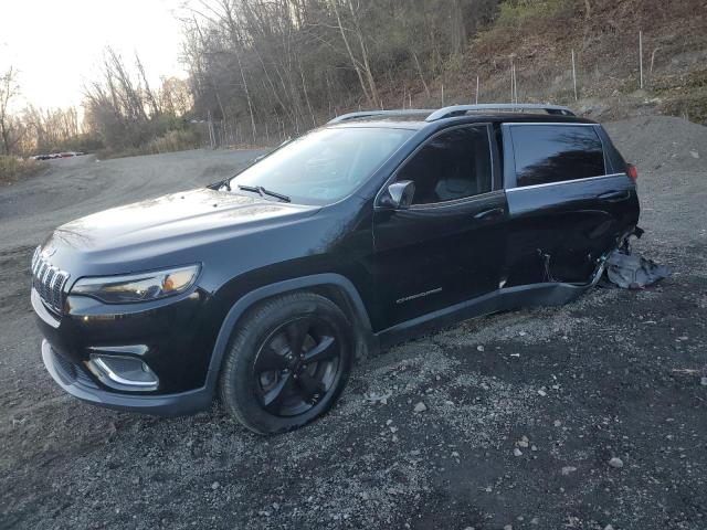 JEEP CHEROKEE L 2019 with VIN 1C4PJMDN2KD169618 - Photo from auction