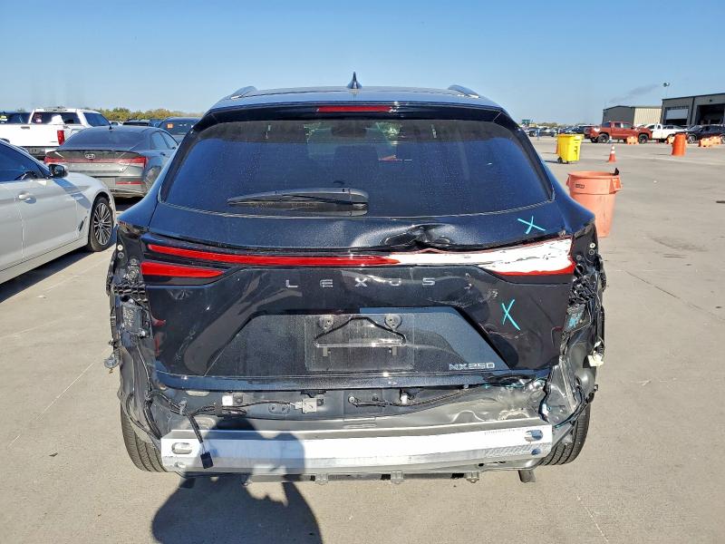 Photo 6 from auction – 2025 LEXUS NX 250 BAS with VIN 2T2ADCAZ4SC019629