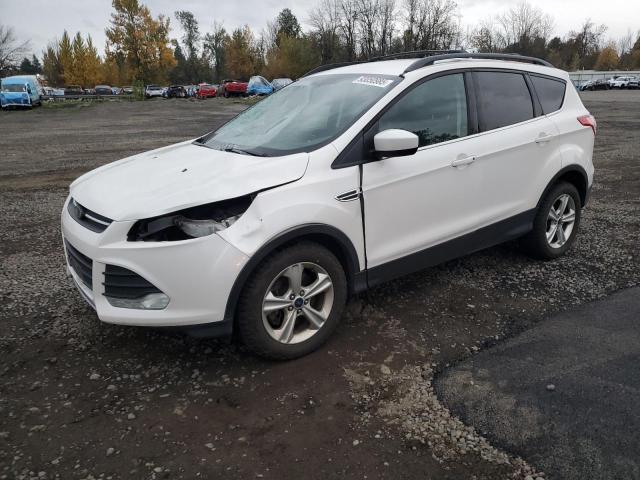 FORD ESCAPE SE 2013 with VIN 1FMCU9G99DUD44348 - Photo from auction