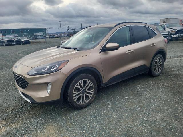 FORD ESCAPE SEL 2020 with VIN 1FMCU9H64LUA02356 - Photo from auction