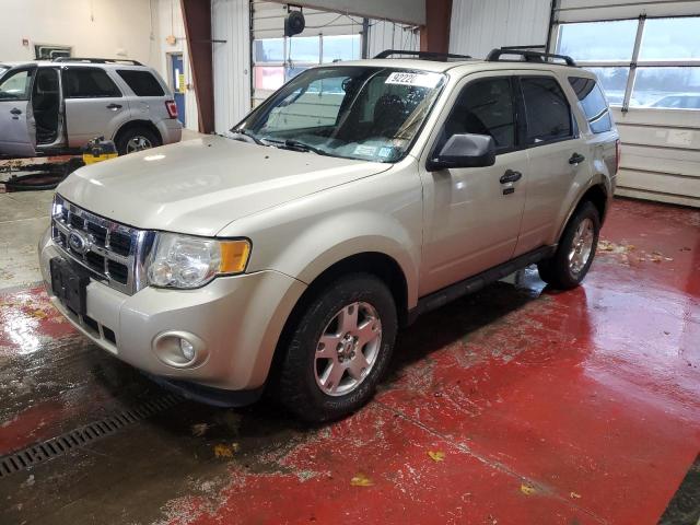FORD ESCAPE XLT 2010 with VIN 1FMCU9D73AKD43724 - Photo from auction