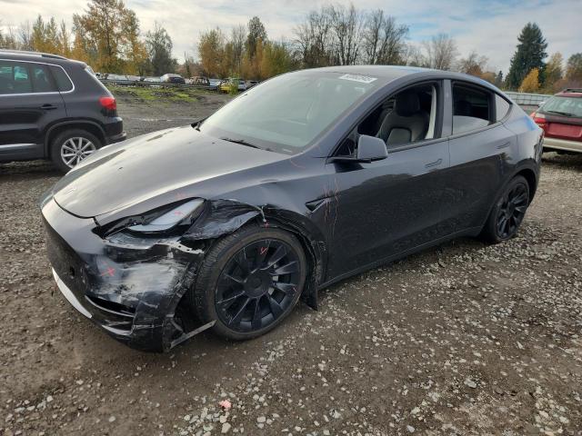 TESLA MODEL Y 2024 with VIN 7SAYGDEEXRF157918 - Photo from auction