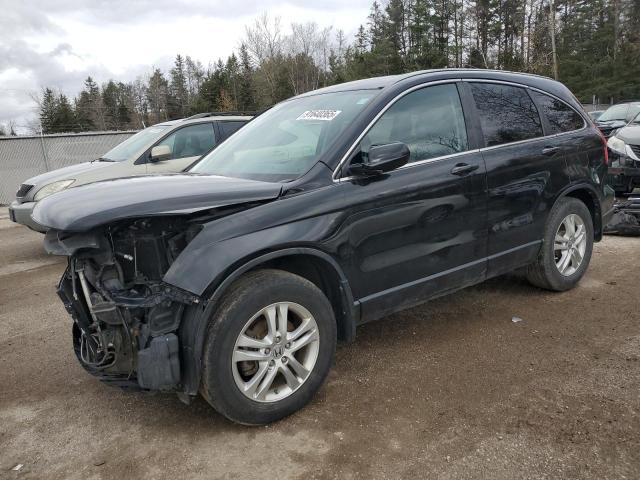 HONDA CR-V EXL 2011 with VIN 5J6RE4H77BL820203 - Photo from auction