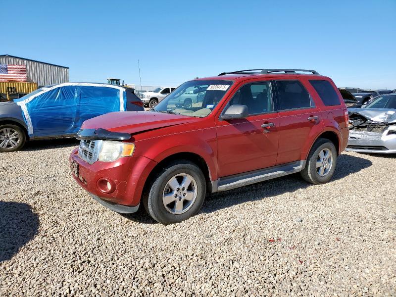 FORD ESCAPE XLT 2011 with VIN 1FMCU0DG1BKA55441 - Photo from auction